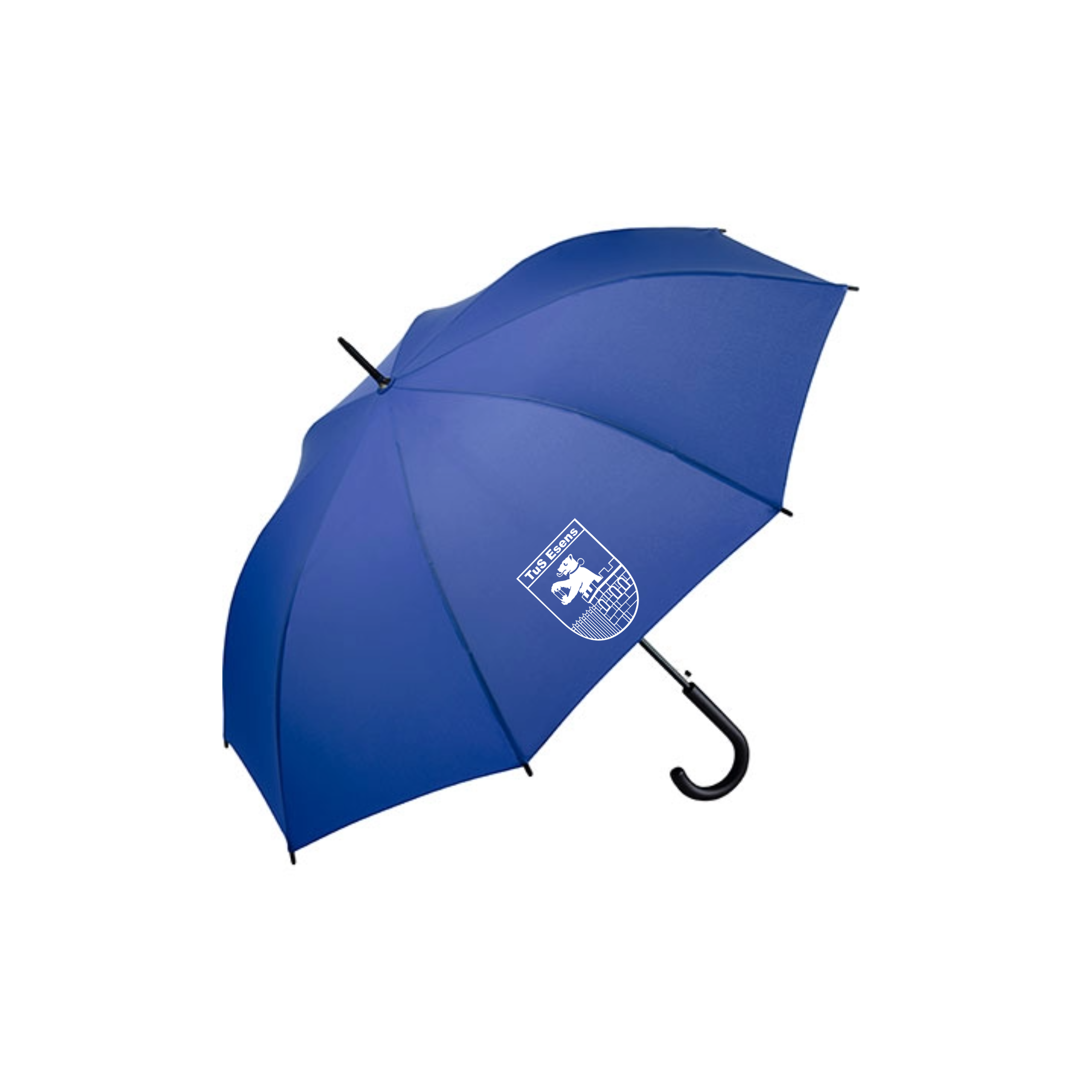 Regenschirm